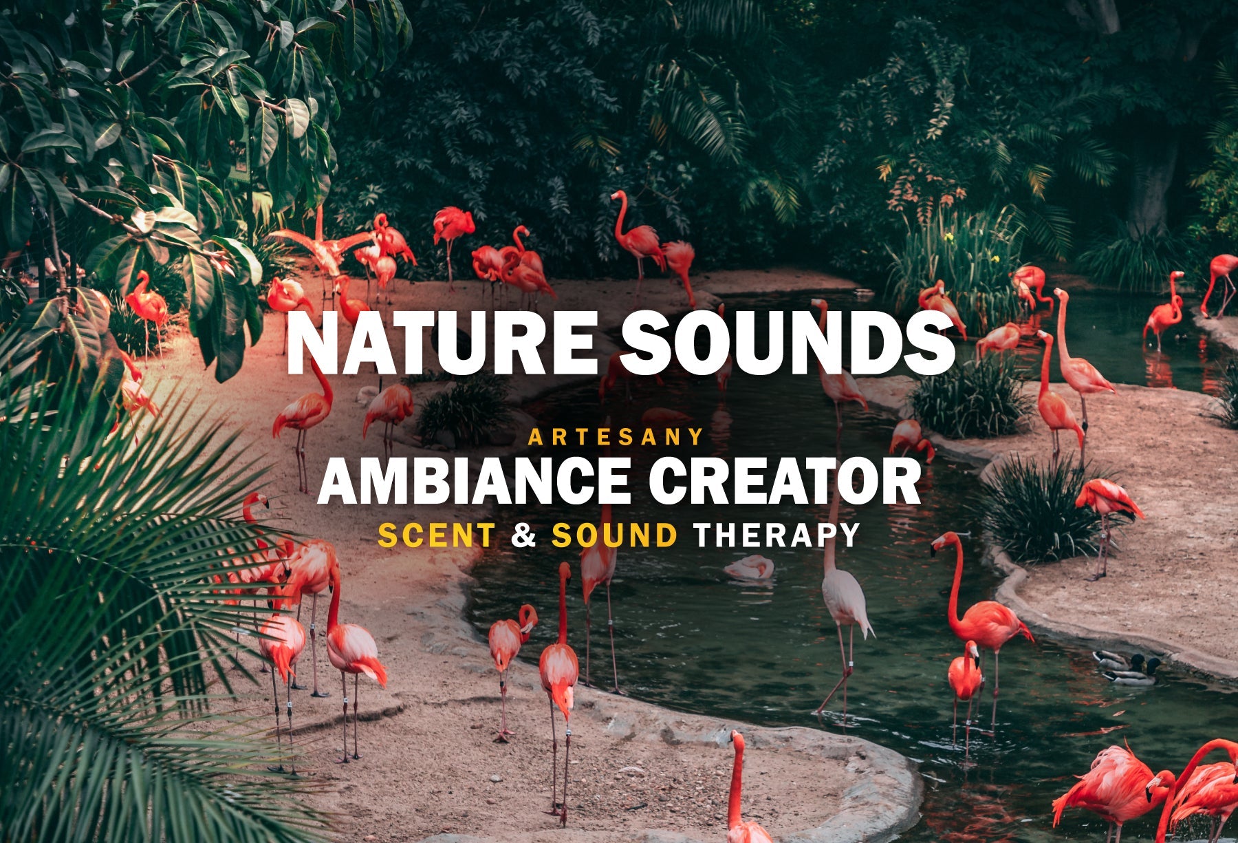 NATURE SOUNDS