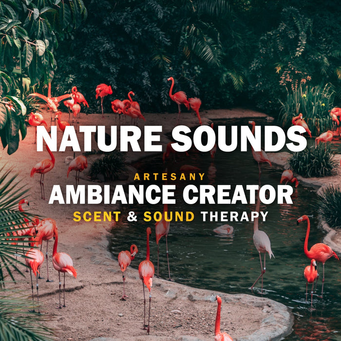 NATURE SOUNDS