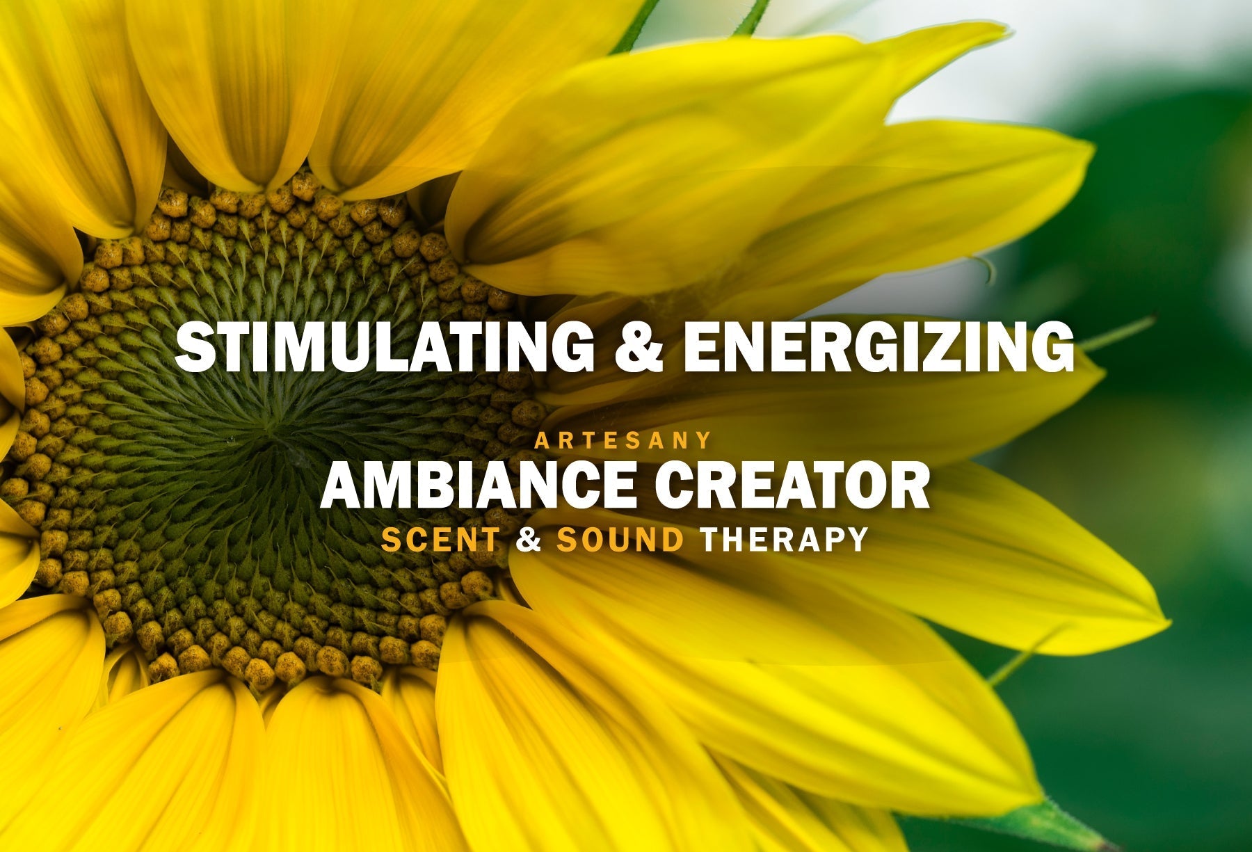 STIMULATING & ENERGIZING