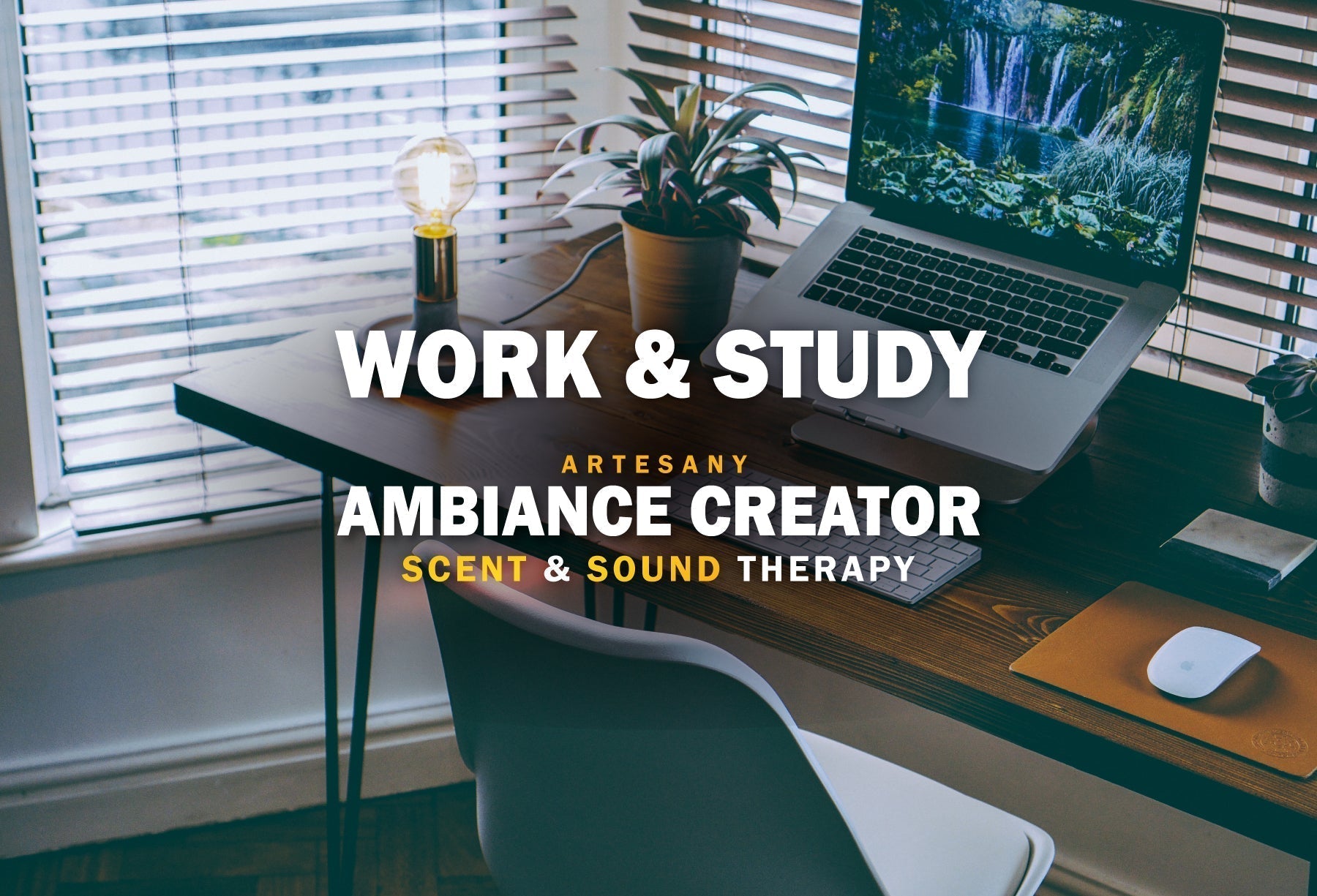 WORK & STUDY