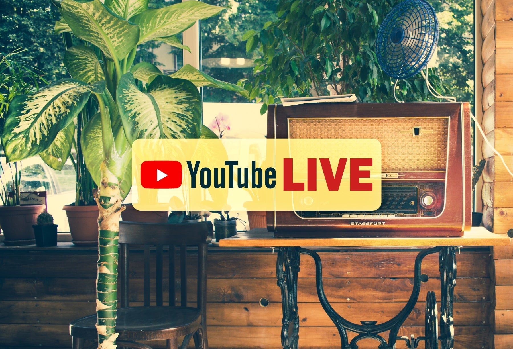 YouTube LIVE