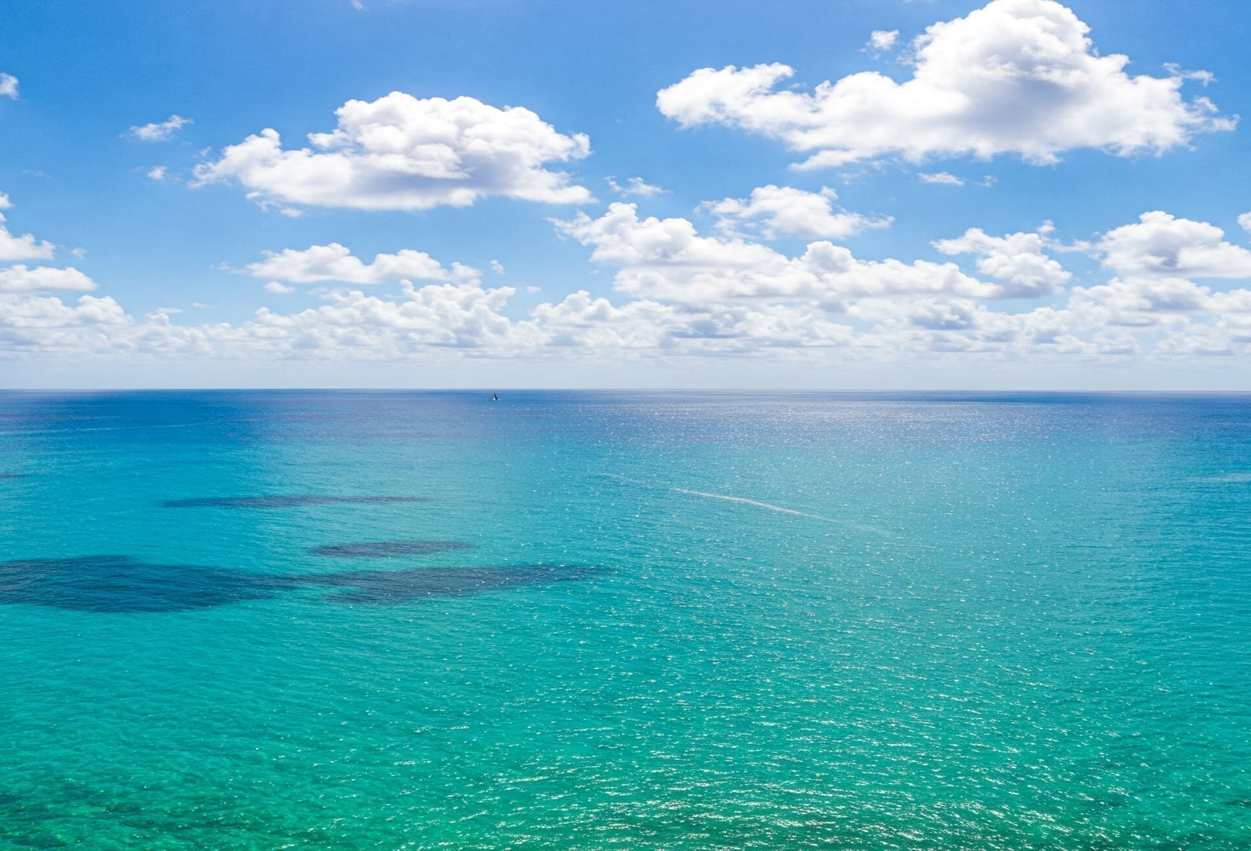 THE KEY ROLE OF OUR OCEANS:<br/>Precious and endangered waters.