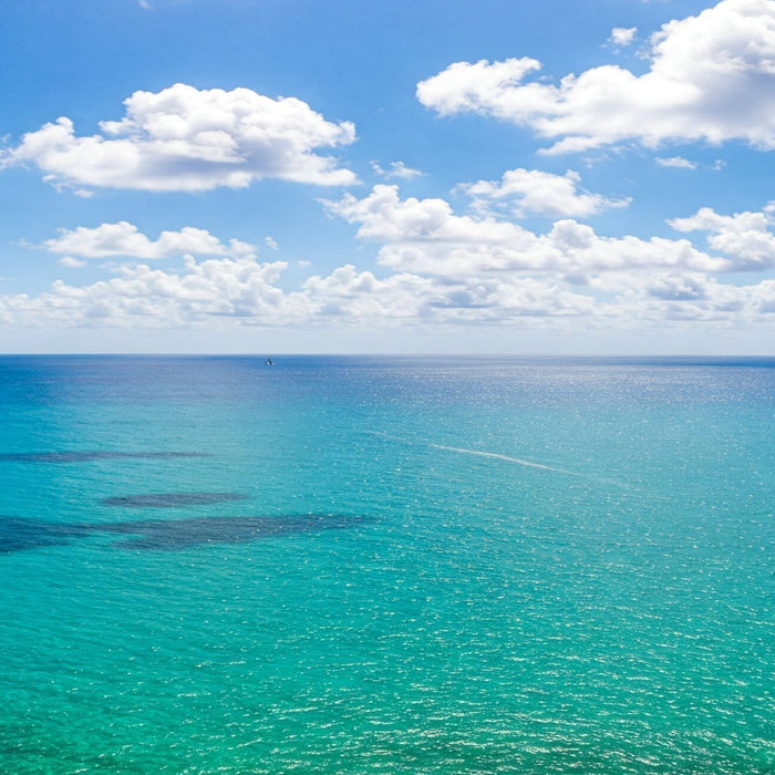 THE KEY ROLE OF OUR OCEANS:<br/>Precious and endangered waters.