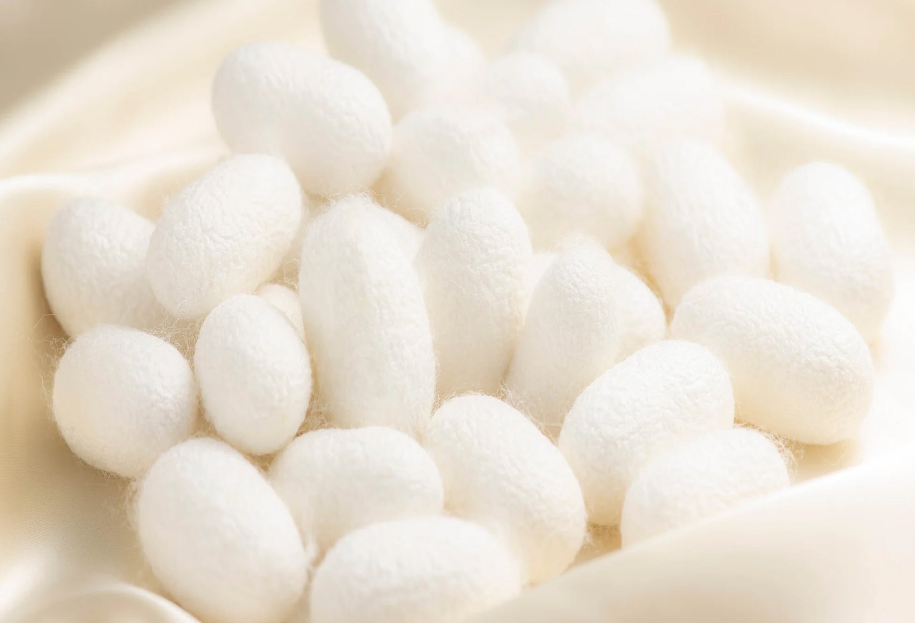 SILK:<br/>Unraveling the secrets and mystery of this natural fiber.