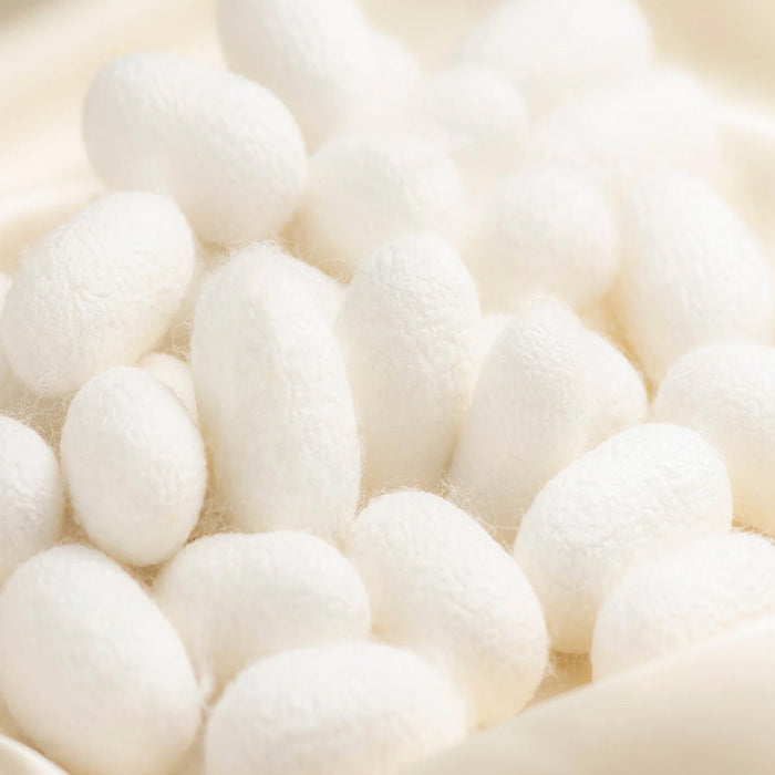 SILK:<br/>Unraveling the secrets and mystery of this natural fiber.