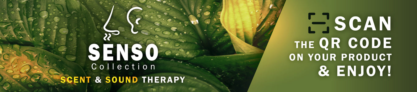 SENSO collection