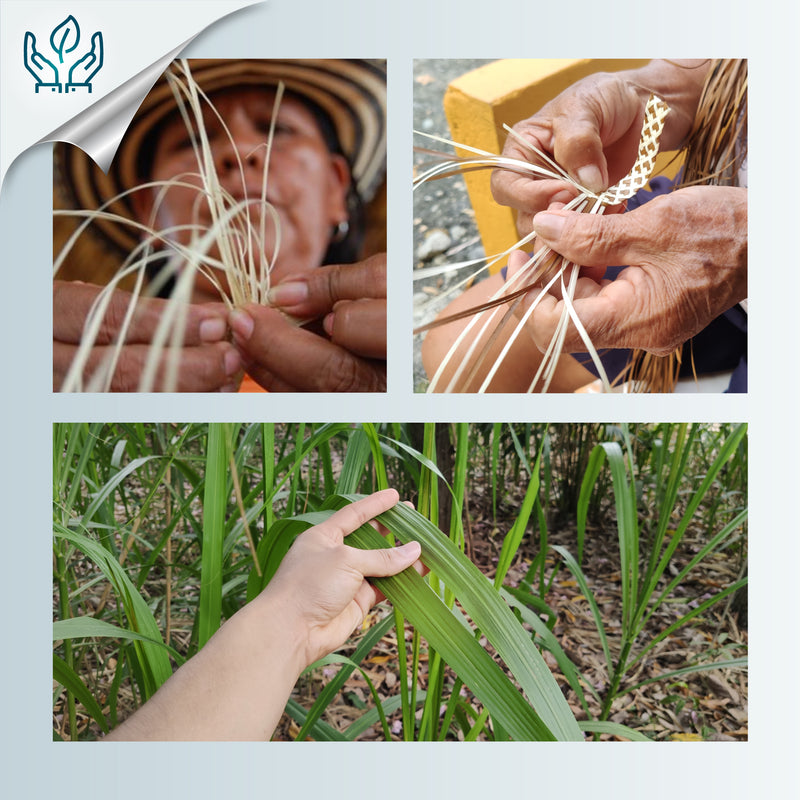 ZENÚ CLUTCH - Handmade - Braided wild cane (caña flecha)