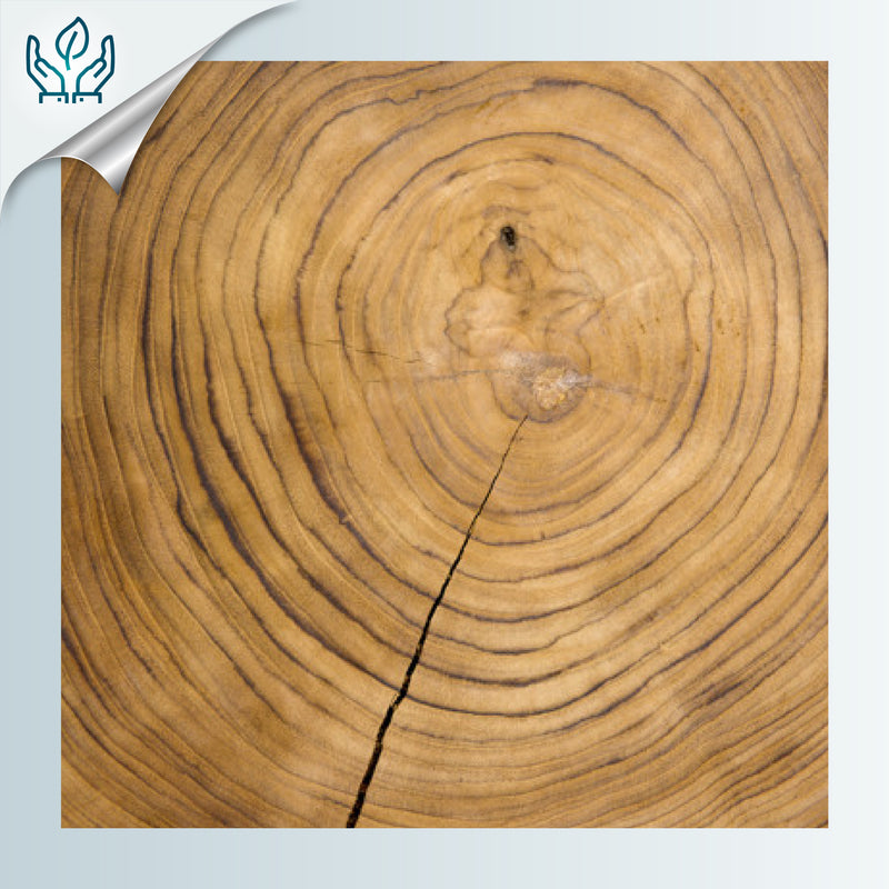 WOODIE TRIO EARRINGS - Handmade - Reversible - Plywood (3 crossed-laid layers of wood veneer)