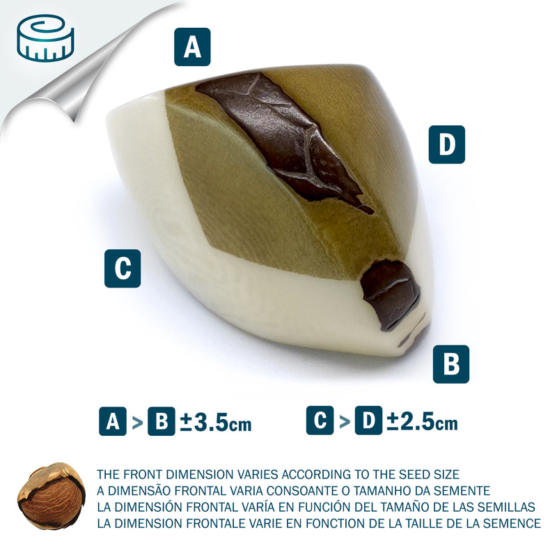 GÉNESIS CURVO RING - Handmade - Tagua (vegetable ivory)