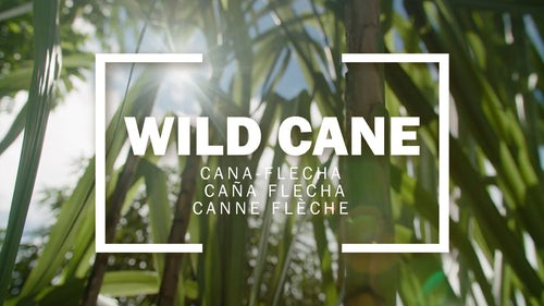 Wild cane