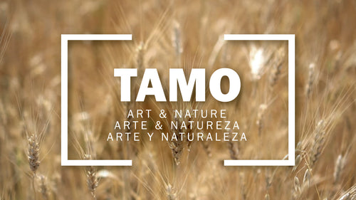 Tamo